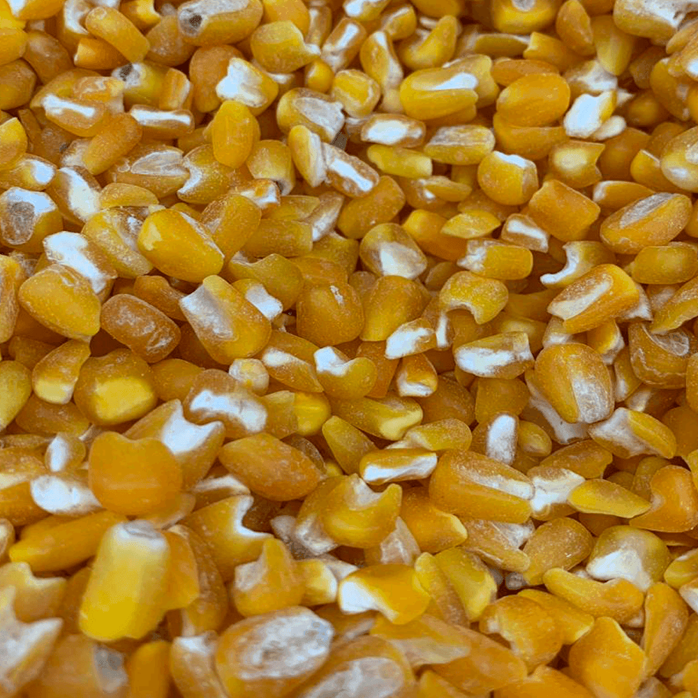 Canjica/Milho pisado Amarelo