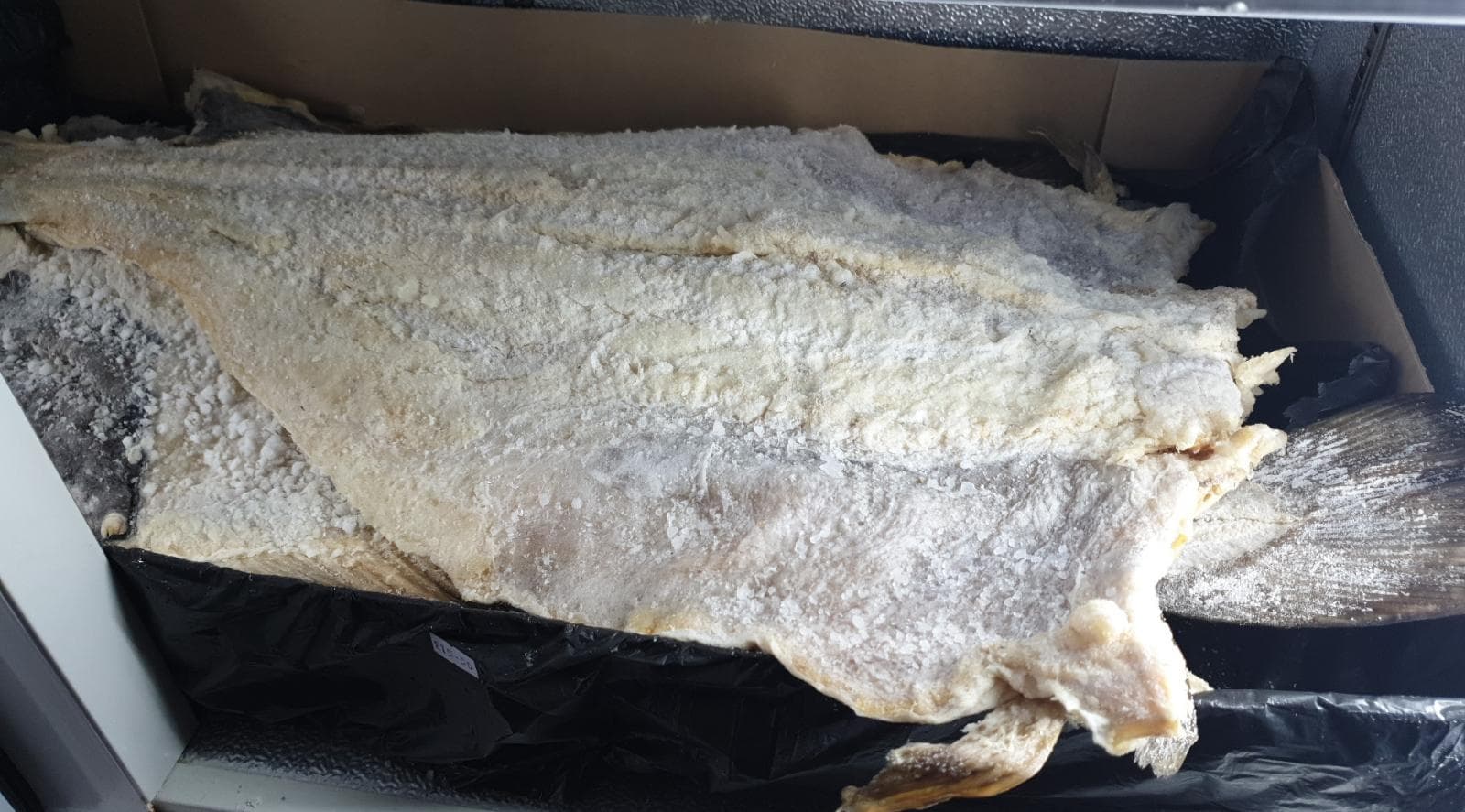 Bacalhau Graudo